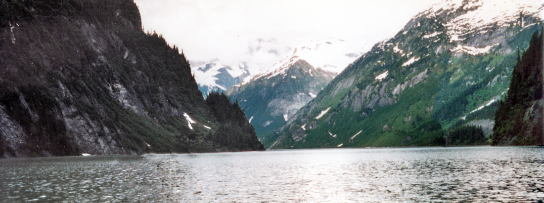 snow crested mountain